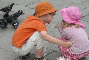 a young boy helps a young girl not to be afraid of pigeons